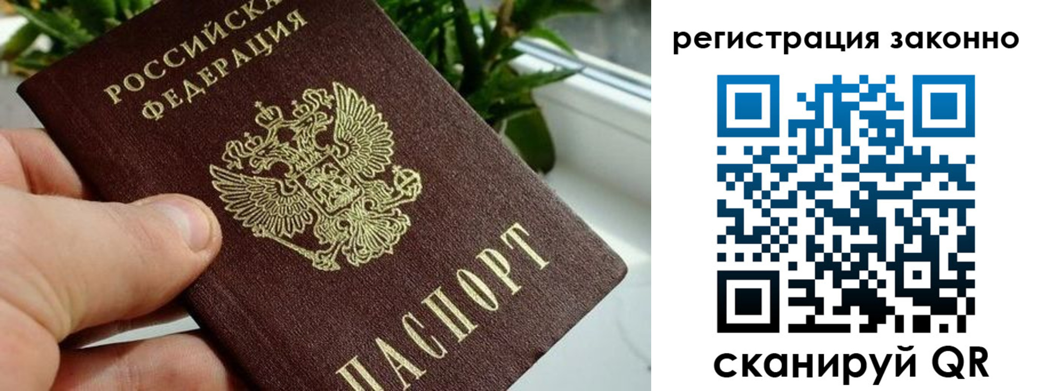 прописка гарантия в Моршанске